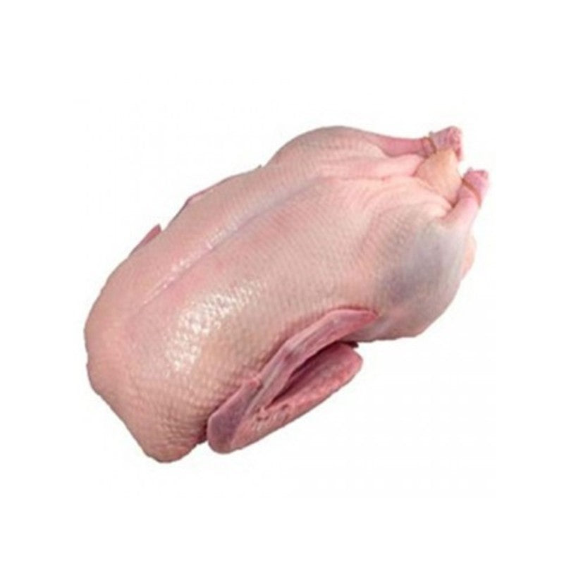 Pasture Raised Whole Duck